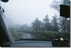 amehuruIMGL5884_TP_V