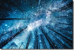 kazukiphotomon06_TP_V